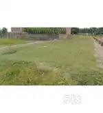 Market ke piche