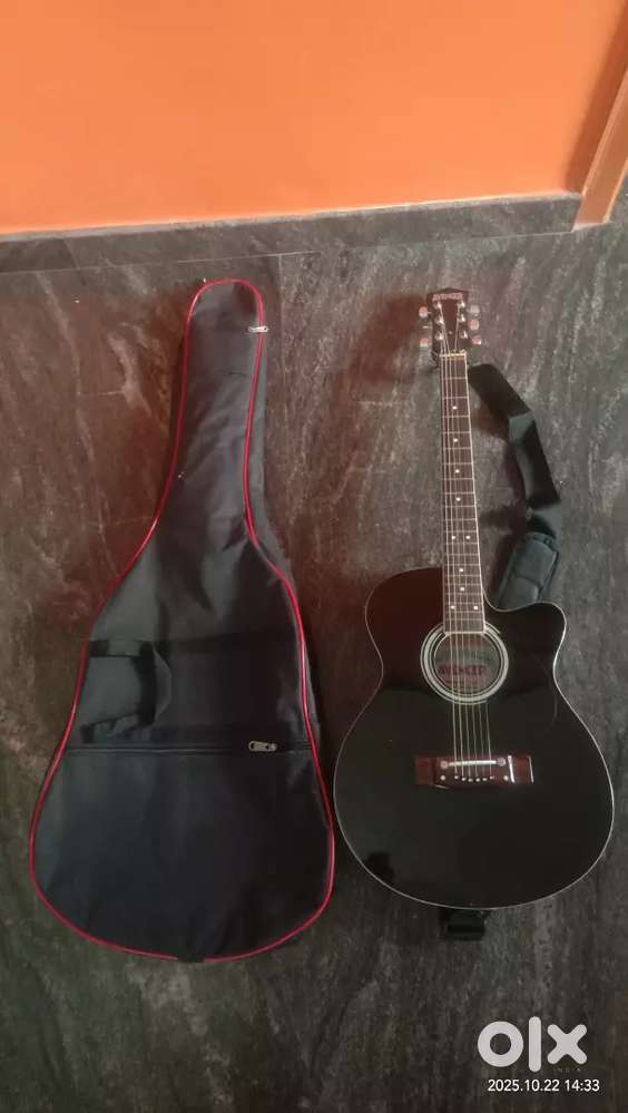 Avenger guitar