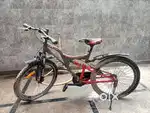 Avon Gearless Cycle - 2 years Old
