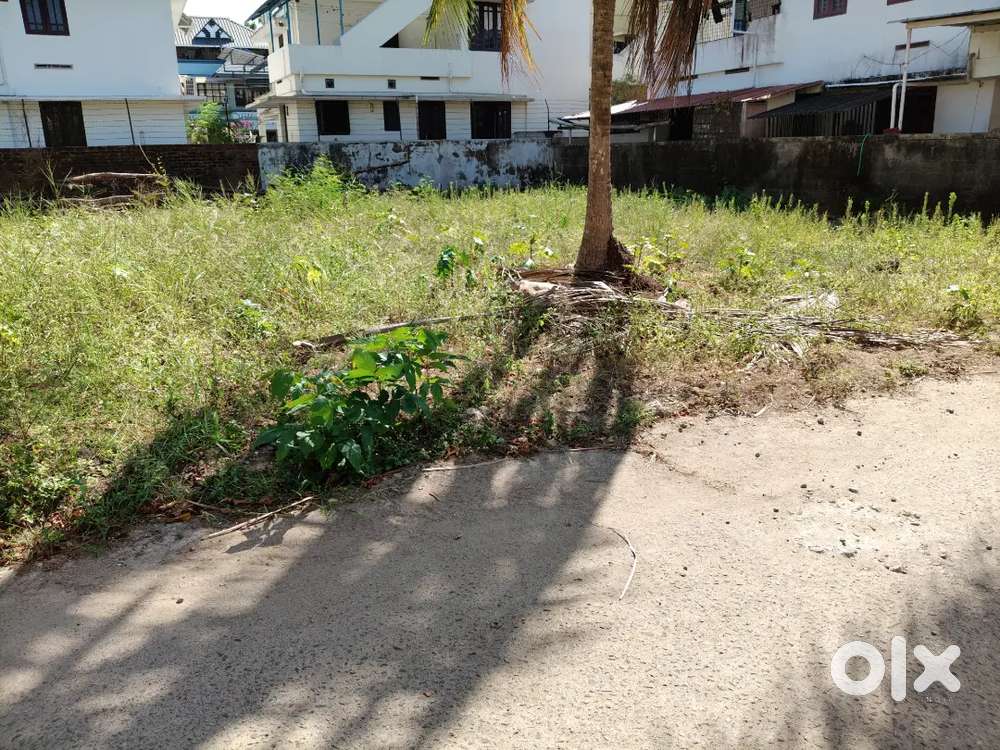 Raman kulangara near kottukulam12 Cent Will Give as 2 Plots.