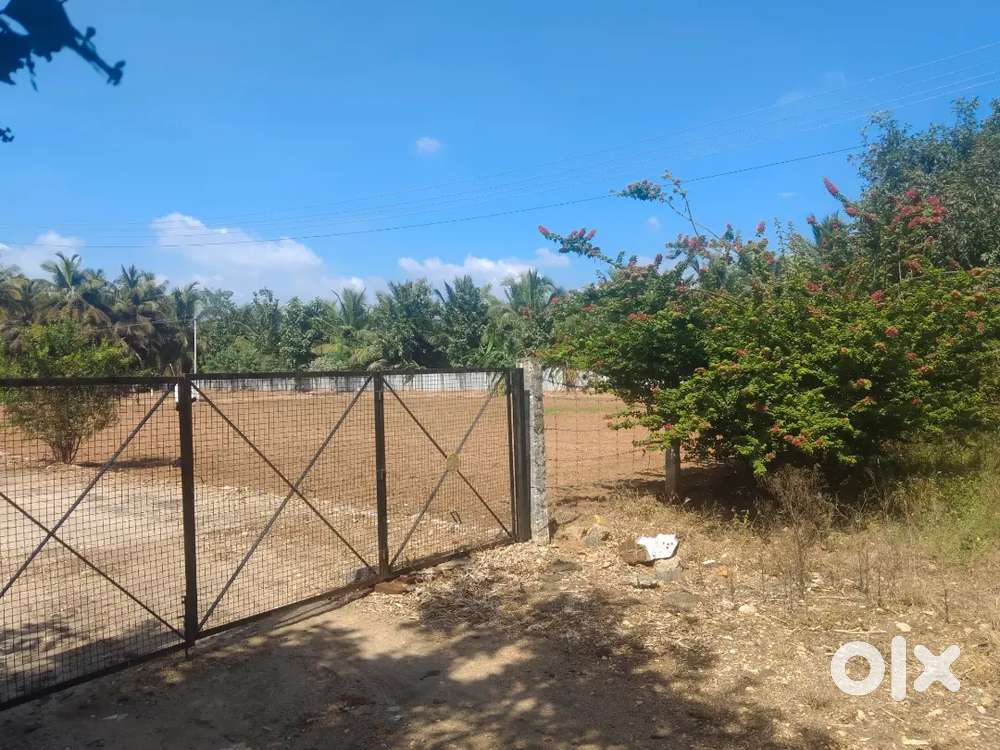 28CENT PREMIUM FARM LAND FOR SALE IN KOVILPALAYAM