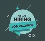 Business development executive
