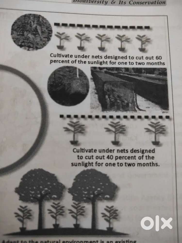 Home tutor specially cbse board