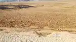 New Ringrood pr plot hai full Comercial plot investment ke liye