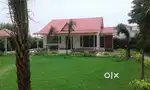 Best Farm Land Noida Expressway pr @6500 Per Gaj