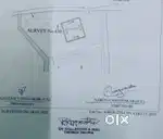 Settlement Plot