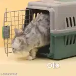 Dog and cat flight cage