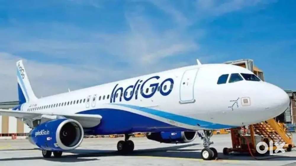 We are for the Indigo airlines. Fresher can apply urgent Hiring