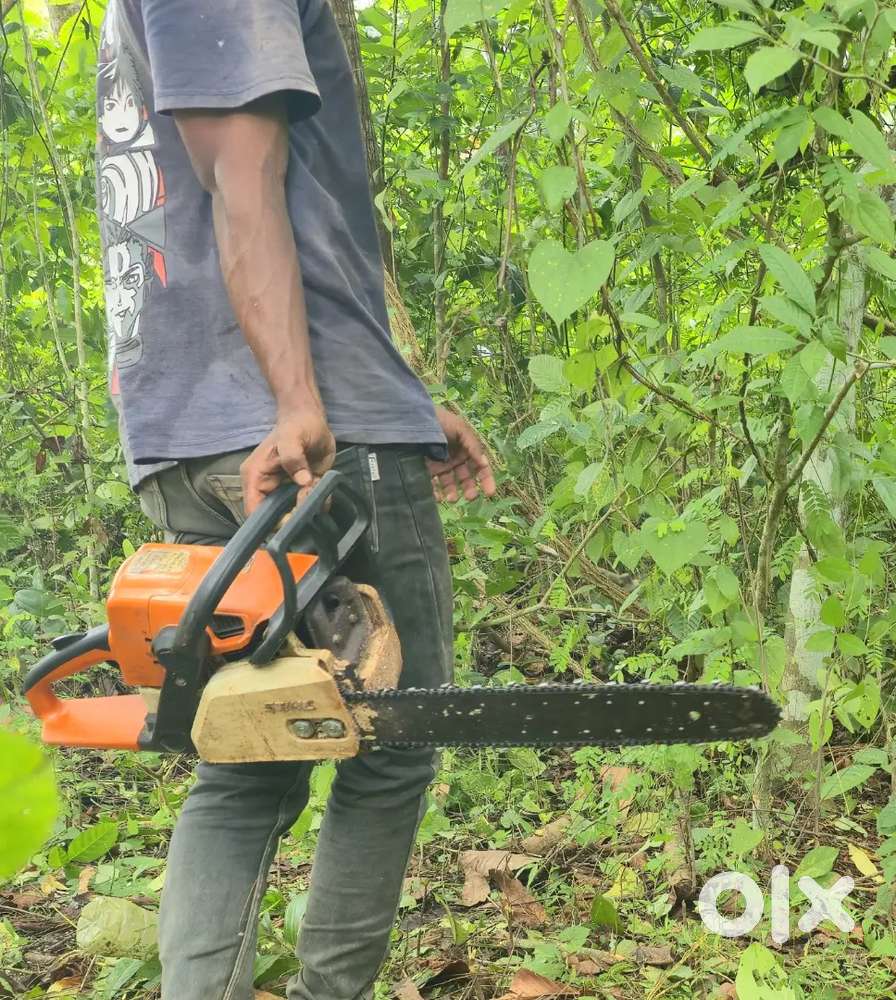 Tree cutting Coconut tree cutting Tree pruning