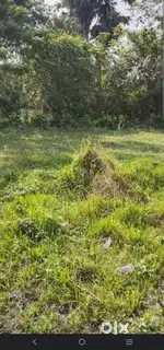 2 katha plot agricultural land price 8lakh fixed