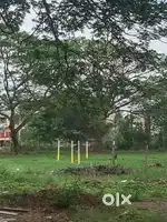 Construction Plot