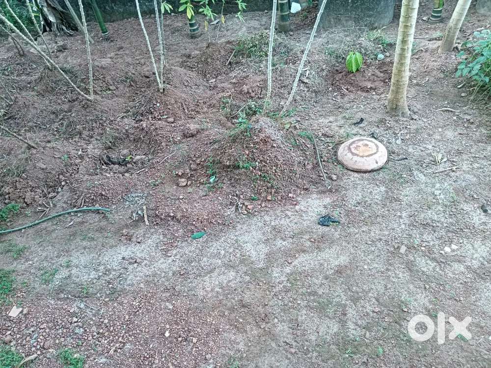 Plot for sale.50 cents near by kanjangadu hosdurg Ennapara Porkkalam