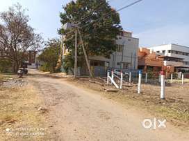 10.56cents Carner East South DTCP Land For Sale vilankurchi road near
