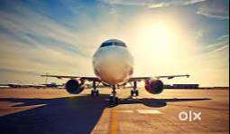 URGENT REQUIREMENT FOR TICKETING EXECUTIVE AND GROUND STAFF IN AIRPORT