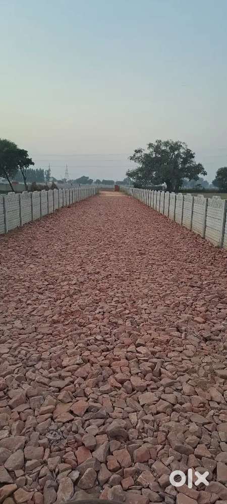 8500 प्रति वर्ग गज हाथरस रोड यमुना एक्सप्रेसवे के पास