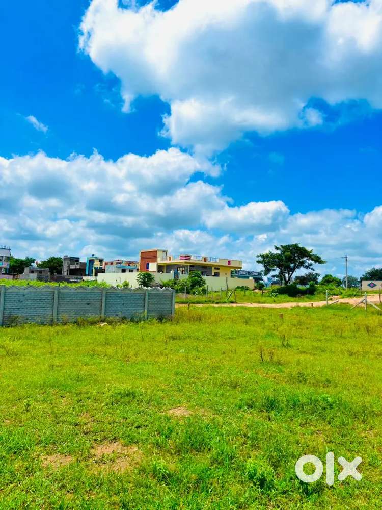 Just 3800/- per sq.yrds Open plots at Shadnagar rajapur