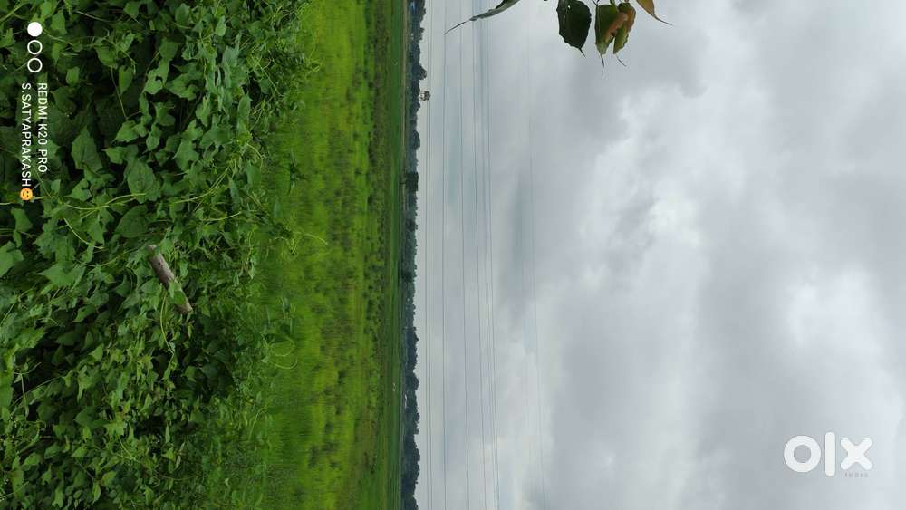 Land in Khordha Nua Pokhari