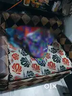 Sofa cum bed