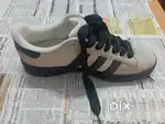 Adidas campus shoes
