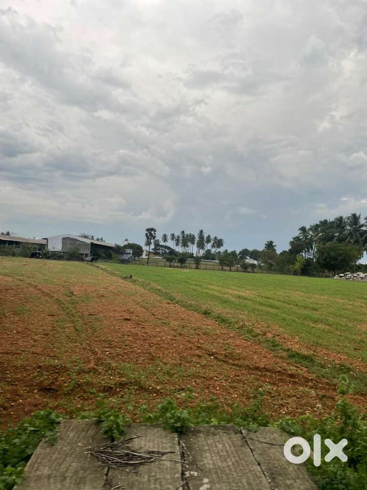 10 acre land for sale