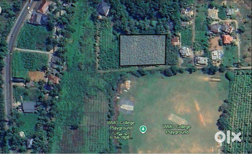 മുട്ടിൽ WMO കോളേജ് പ്ലേ ഗ്രൗണ്ടിന് സമീപം
