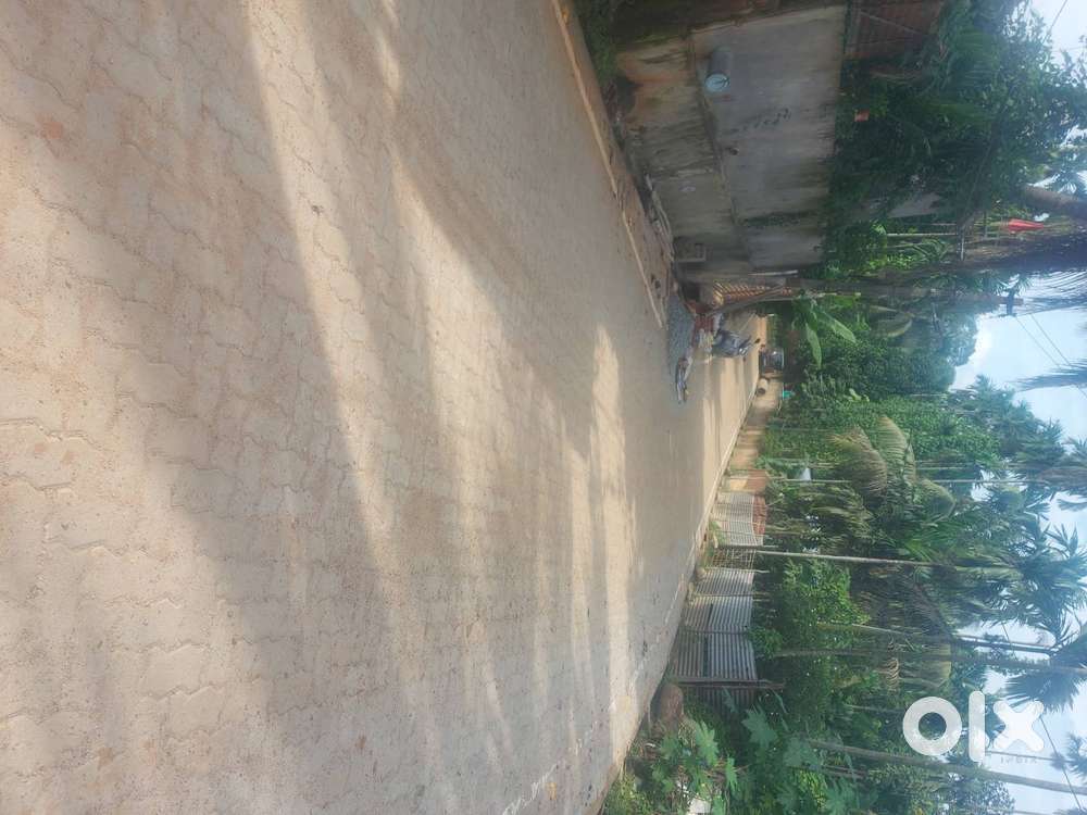 Eksoniya land for sale