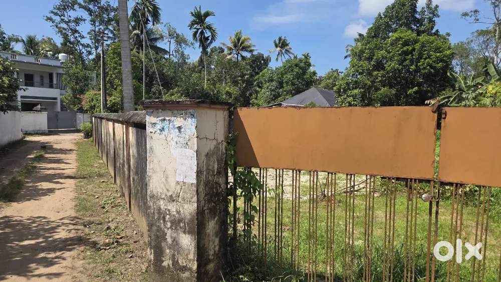 ചേർത്തല അർത്തുങ്കൽ ബൈപ്പാസിനടുത്ത് 200 മീറ്റർ മാറി 6,5 cent plot