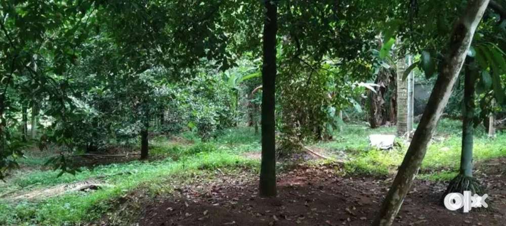 22 cent plot for sale