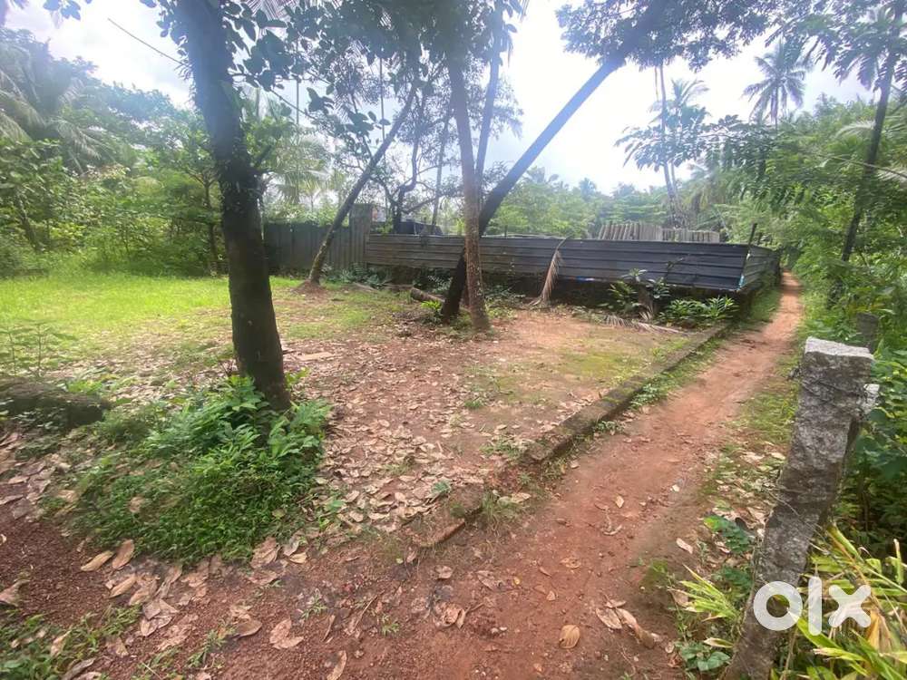 4 Cent Plot away from 250m to khanangad New bus Stand