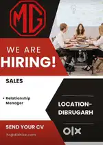 Relationship Manager(Sales) - Automobile