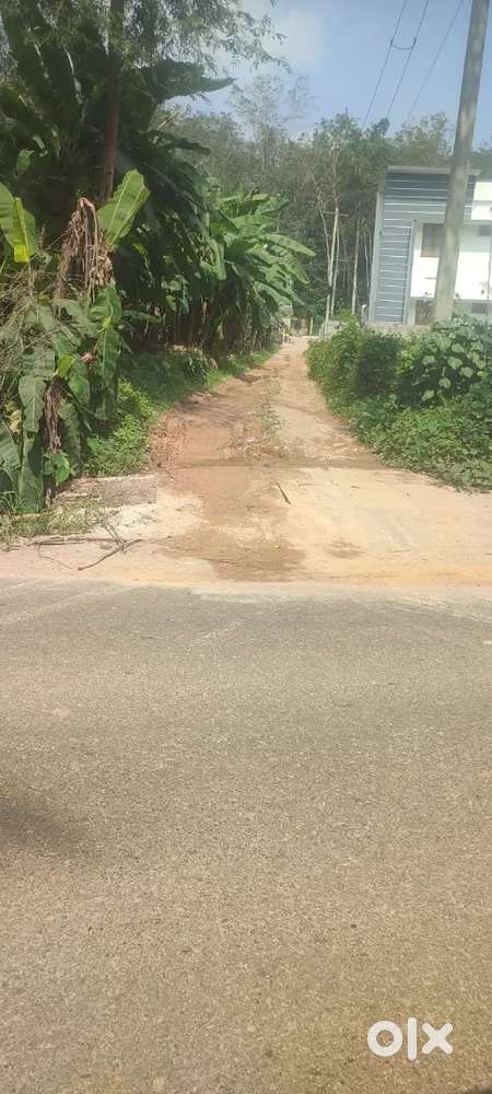 5.25 cent plot for sale in puthenpalam pagode