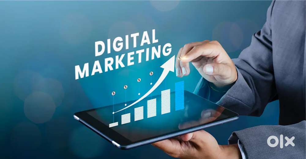 Digital Marketing Expert Required