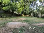 9.500 CENT DRY LAND NEAR PATTOM MARAPALAM MUTTADA ROAD LORRY ACCE