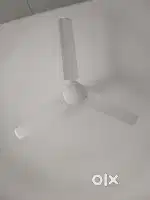Fan (42 inch)