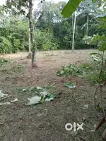 A 34 cents housing plot is for sale in Edayaranmula