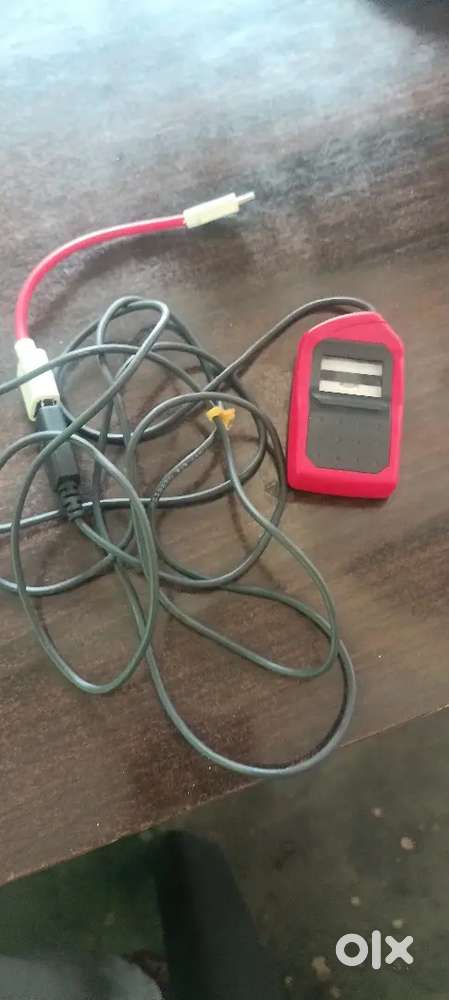 morpho l  1  .4 month old 1 condition