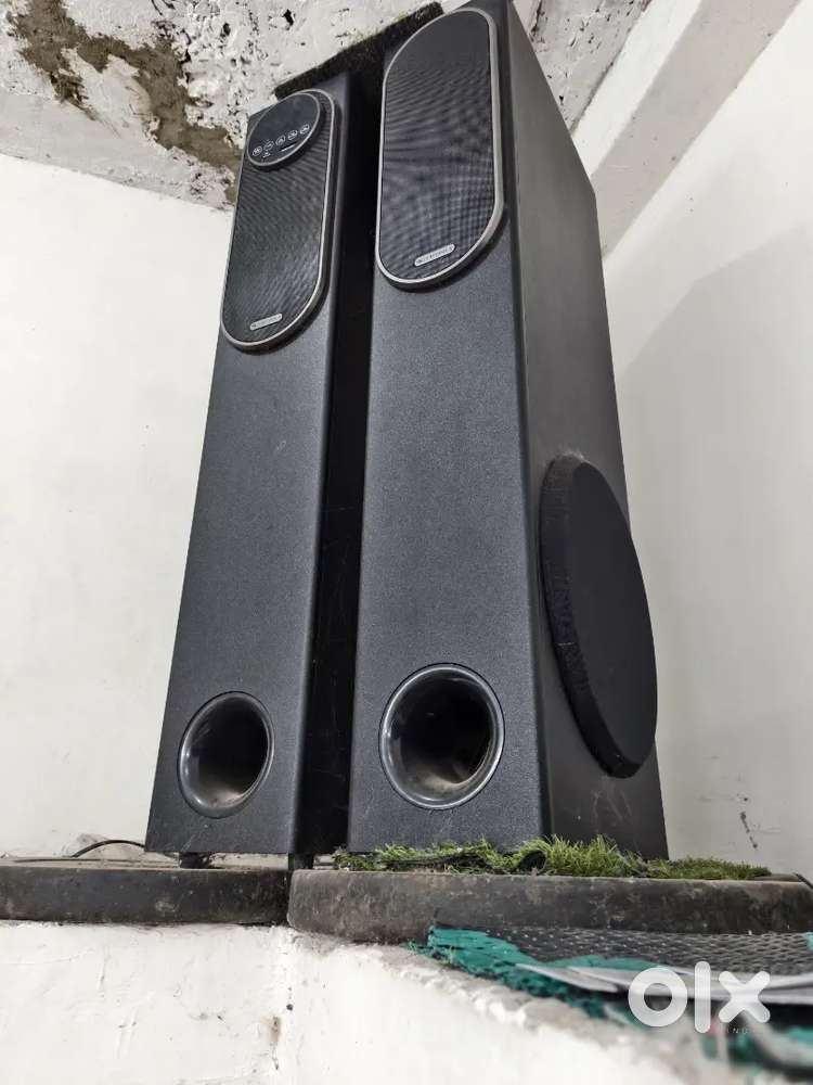 Zebronic price $13000