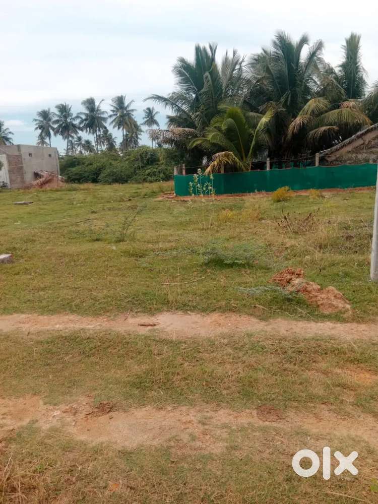 Urgent sale property near nagapatinam to villupuram bypass pondy plot