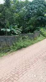 House plot 4, 3 cent edapally pathadipalam changampuzha nagar near