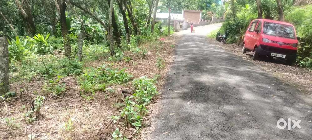 1 Acre 10 Cent, Rubber Estate