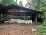 Poultry farm Rent