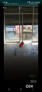 first floor shop dehradun tunwala