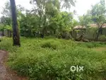 5 cent land for sale