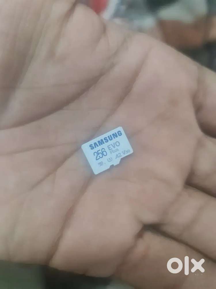 Samsung EVO PLUS 256 GB SD card