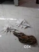 Aquarium items