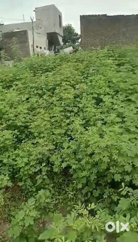 Corner plot , clear title , Gut no. 82