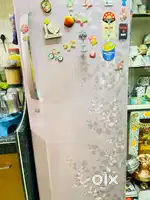 LG  270 liter 5 star Refrigerator