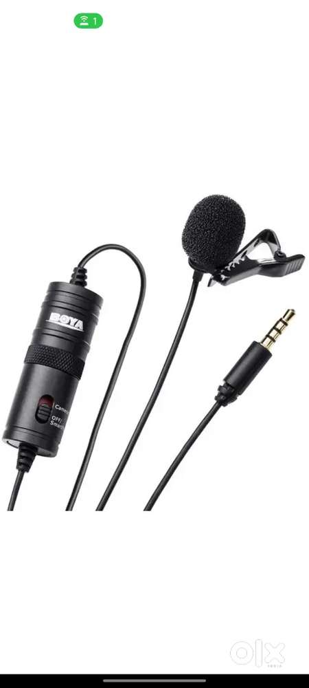Video recording mic