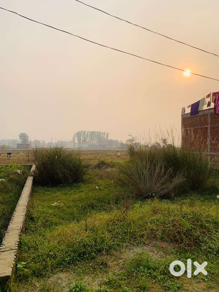 Plot for sell 55x16.5