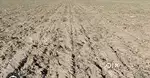 3 bigha high fertile land